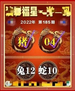 一码一肖100%准确功能,数据整合方案实施_投资版121,127.13